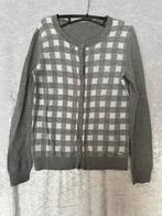 Tommy Hilfiger kleding set maar S, Kleding | Dames, Truien en Vesten, Ophalen of Verzenden, Zo goed als nieuw, Maat 36 (S), Grijs