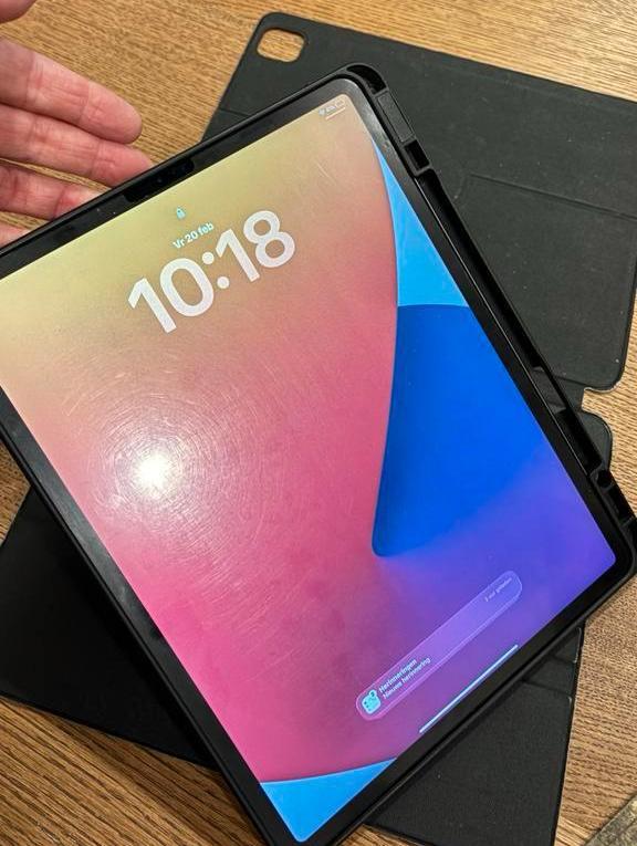 Apple iPad Pro 12.9" (A2229), Computers en Software, Apple iPads, Gebruikt, Apple iPad Pro, Wi-Fi, 12 inch, 256 GB, Grijs, Ophalen of Verzenden