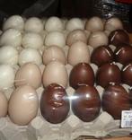 PARTIJ EI KAARSEN ASSORTI KLEUR, ., Nieuw, Ophalen of Verzenden, .