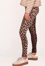DROLE DE COPINE leopard legging mt S/M en M/L, Kleding | Dames, Verzenden, Parijs, Lang, Drole de Copine