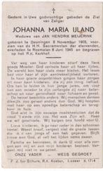 Johanna Maria IJland 1903 Beuningen + 1945 Rosmalen, 41 jr, Verzamelen, Bidprentjes en Rouwkaarten, Verzenden