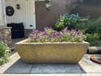 Brocante Trog / plantenbak, ZWAAR!, Tuin en Terras, Bloembakken en Plantenbakken, Ophalen, Zo goed als nieuw, Minder dan 60 cm