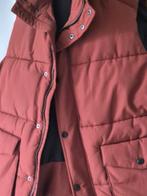 Body Warmer, Ophalen, Nieuw, Overige maten, Zwart