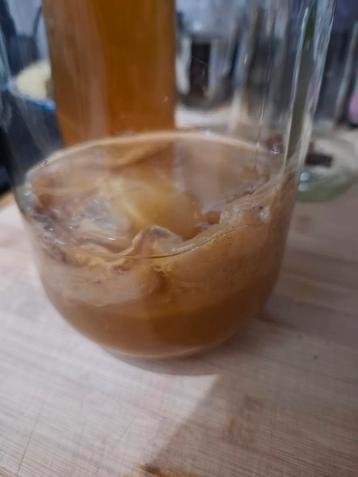 Kombucha SCOBY - Zelf Kombucha Maken! beschikbaar voor biedingen