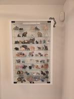 Vitrinekast (wand of staand) perfect voor miniaturen - Nieuw, Nieuw, Glas, 25 tot 50 cm, 50 tot 100 cm