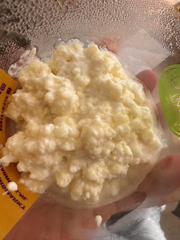 Melkkefir korrels beschikbaar voor biedingen