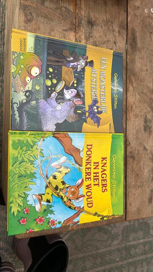 Geronimo Stilton  2 leuke boeken, Boeken, Kinderboeken | Jeugd | onder 10 jaar, Zo goed als nieuw, Ophalen