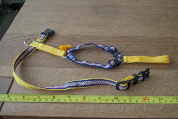 Te koop: praktisch en stijlvol kitten tuigje, Dieren en Toebehoren, Katten-accessoires, Zo goed als nieuw, Verzenden