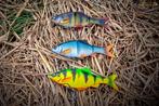 Savage Gear 4D Line thru  Roach 18 cm, Ophalen of Verzenden, Nieuw, Overige typen