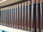 Encyclopedie  en woordenboek Summa, Boeken, Encyclopedieën, Gelezen, Algemeen, Ophalen of Verzenden, Complete serie