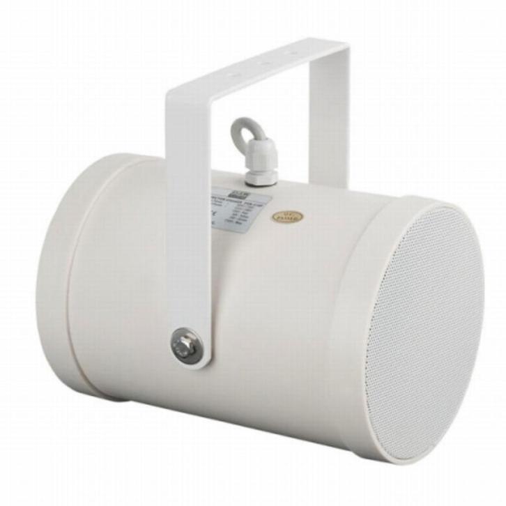 DAP PSB-510P 100v luidspreker, Audio, Tv en Foto, Luidsprekers, Nieuw, Overige merken, Ophalen of Verzenden