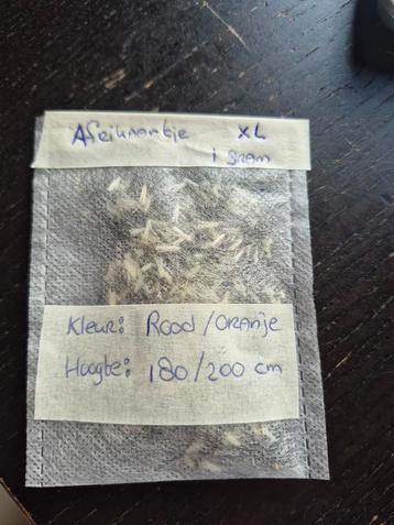 Zaad Afrikaantje Hoog  beschikbaar voor biedingen