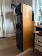 Scanspeak Troels Gravesen Ellam Flex 3W (Scan Speak), Ophalen, Zo goed als nieuw, Front, Rear of Stereo speakers, Overige merken