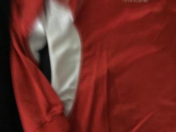 Partij Rolini voetbal shirts 10 stuks beschikbaar voor biedingen