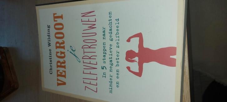 Christine Wilding - Vergroot je zelfvertrouwen, Boeken, Psychologie, Zo goed als nieuw, Ontwikkelingspsychologie, Ophalen of Verzenden