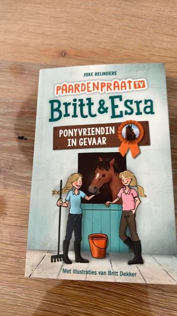 Joke Reijnders - Ponyvriendin in gevaar beschikbaar voor biedingen