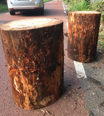 houten hakblok, hakblok,houthakblok,kloofblok, spijkerslaan beschikbaar voor biedingen