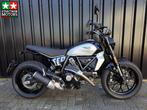 Ducati Scrambler Icon MY 2024!, Bedrijf, Meer dan 35 kW, Toermotor, 803 cc