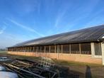 Rundveestal, Stal, Staalconstructie, Hal, Loods, Schuur, Dieren en Toebehoren, Stalling en Weidegang