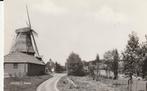 Hasselt    Molen, Verzamelen, Ansichtkaarten | Nederland, Ophalen of Verzenden, 1940 tot 1960, Gelopen, Overijssel