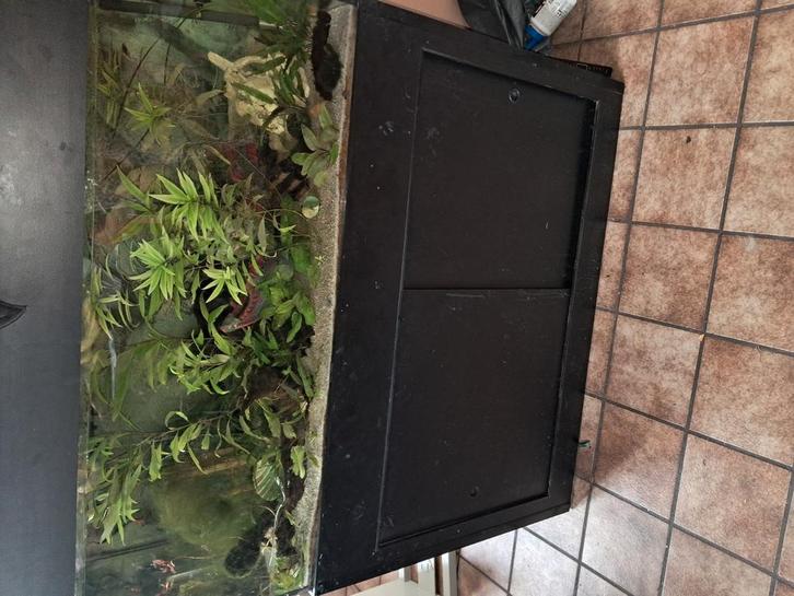 Nu of nooit! Groot aquarium met onderkast en toebehoren, Dieren en Toebehoren, Vissen | Aquaria en Toebehoren, Zo goed als nieuw