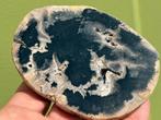 Versteend hout schijf plak dubbel gepolijst mineralen 21, Verzamelen, Mineralen en Fossielen, Ophalen of Verzenden, Mineraal
