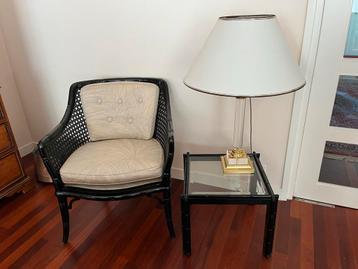 Rotan Set met Lamp - Sfeervol & Compleet beschikbaar voor biedingen