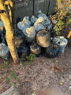 Te koop alpaca mest, Tuin en Terras, Ophalen, Mest