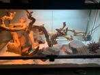 Terrarium met twee luipaard gekko’s, Dieren en Toebehoren, Ophalen, Zo goed als nieuw, Terrarium of Paludarium