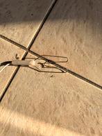 Weideklok met dikke aardpen. Gallagher.schrikdraadklok, Dieren en Toebehoren, Ophalen of Verzenden