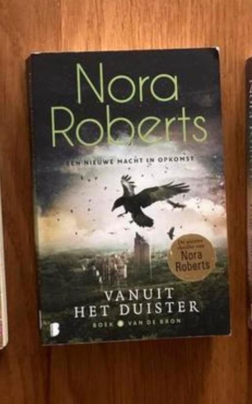 Vanuit het duister - Nora Roberts, Boeken, Chicklit, Zo goed als nieuw, Ophalen of Verzenden