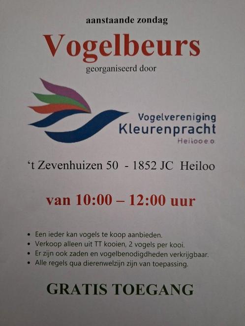 Vogelbeurs Heiloo 14 sept., Dieren en Toebehoren, Vogels | Overige Vogels, Meerdere dieren