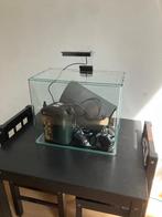 Aquarium compleet - 35x22x29 cm, Dieren en Toebehoren, Vissen | Aquaria en Toebehoren, Ophalen of Verzenden, Gebruikt, Leeg aquarium