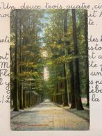 18-5-1910 Velp - Roozendaalsche laan, Ophalen of Verzenden, Voor 1920, Gelopen, Gelderland