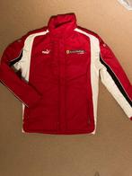 Ferrari jas gewatteerd - by Puma - maat S - heren, Ophalen of Verzenden, Nieuw, Formule 1