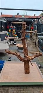 Mooie vogelboom, Dieren en Toebehoren, Vogels | Toebehoren, Ophalen, Zo goed als nieuw