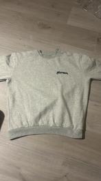 Grijze flaneur trui, Kleding | Heren, Truien en Vesten, Ophalen of Verzenden, Zo goed als nieuw