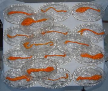 La Murrina Murano glazen lamp schaaltjes onderdelen 60's beschikbaar voor biedingen