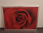 Wanddecoratie - Rode Roos - 108x148cm, Huis en Inrichting, Ophalen, Gebruikt, 125 cm of meer, Print