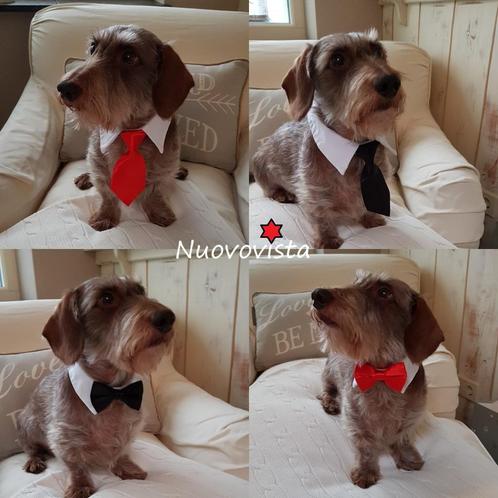 Honden Strik of Stropdas met Kraagje. Vlinderdas 🐾🐾🐾, Dieren en Toebehoren, Hondenkleding, Nieuw, Hondenhalsdoek, Verzenden