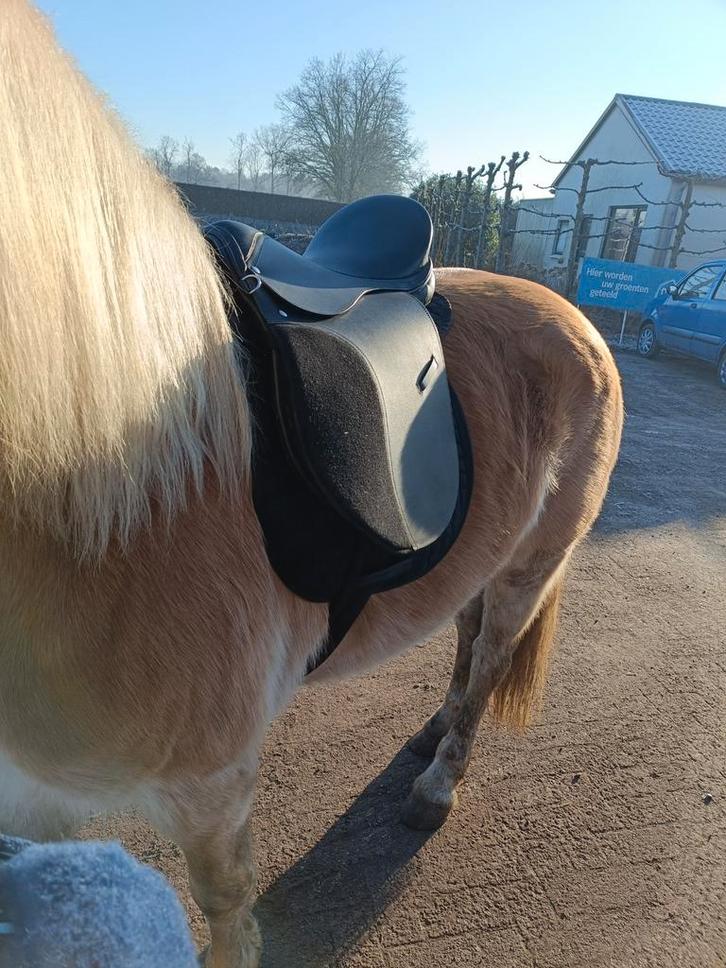 Veelzijdigheid zadel en western, Dieren en Toebehoren, Paarden en Pony's | Zadels, Zo goed als nieuw, Recreatie, Ophalen