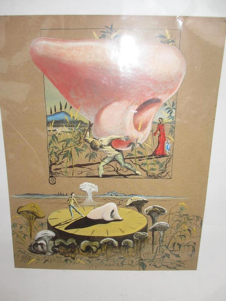 SALVADOR DALI, « LE NEZ, 1950 » zeldzame ARTPRINT 1993, Antiek en Kunst, Kunst | Etsen en Gravures, Ophalen of Verzenden