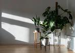 Plantenstandaard • Plantentafel • Grote/kleine plantentafel, Rond, Ophalen of Verzenden, Zo goed als nieuw, Metaal