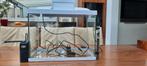 Superfish 50 liter aquarium + toebehoren, Ophalen of Verzenden, Zo goed als nieuw, Leeg aquarium