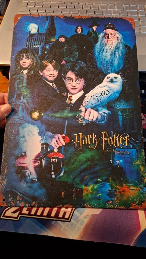 Harry Potter Wandbord - The Sorcerer's Stone, Verzamelen, Harry Potter, Ophalen of Verzenden, Nieuw, Overige typen