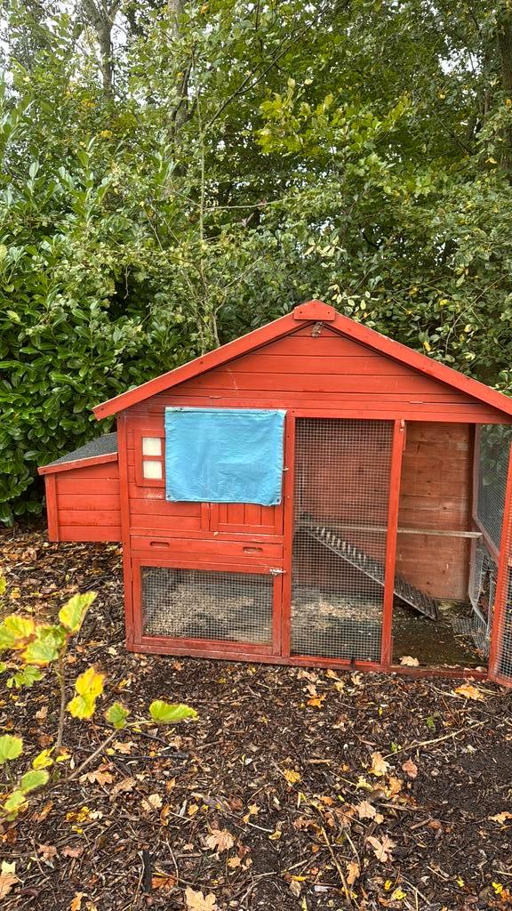 Kippenhok, schoon maar gebruikt, Dieren en Toebehoren, Pluimvee | Toebehoren, Gebruikt, Kippenhok of Kippenren, Ophalen