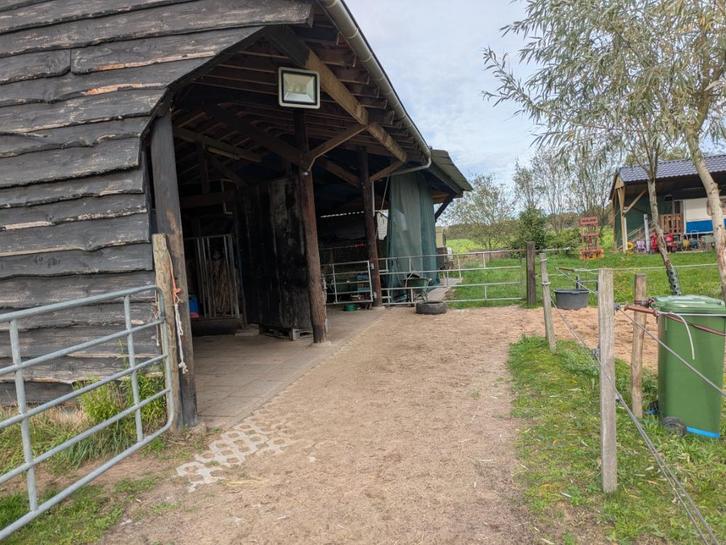 pension 24/7 weidegang + schuilstal in buitengebied Escharen, Dieren en Toebehoren, Stalling en Weidegang, Weidegang