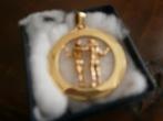 gouden sterrenbeeld, Sieraden, Tassen en Uiterlijk, Kettinghangers, Overige voorstellingen, Ophalen of Verzenden, Zo goed als nieuw