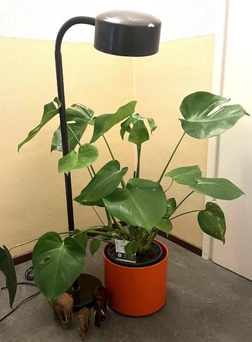 retro vintage mid century HALA sta vloer lamp bruin metaal beschikbaar voor biedingen