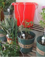 Waterdruppelaar / bewatering planten, Ophalen of Verzenden, Zomer, Volle zon